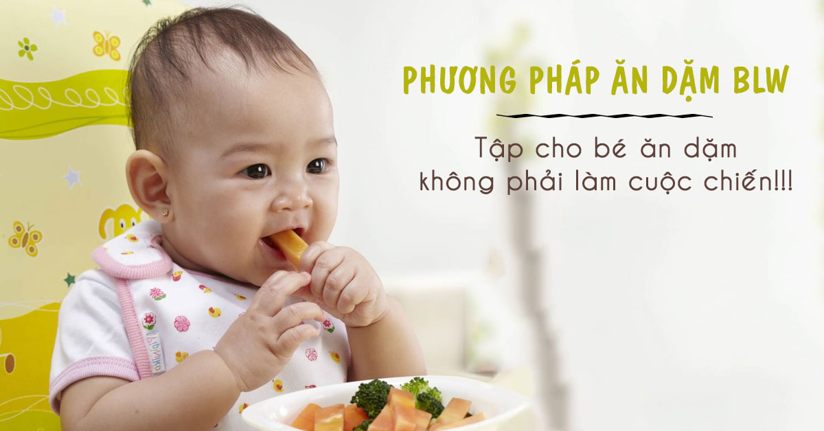 ăn Dặm Tự Chỉ Huy Blw Nguyen Tắc Va Thực Phẩm ăn Dặm Cần Thiết